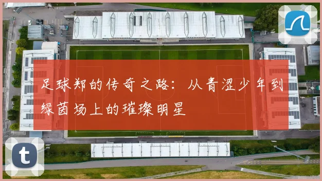 足球郑的传奇之路：从青涩少年到绿茵场上的璀璨明星