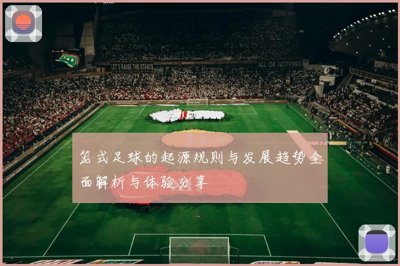 笼式足球的起源规则与发展趋势全面解析与体验分享