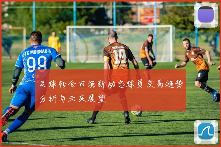 足球转会市场新动态球员交易趋势分析与未来展望