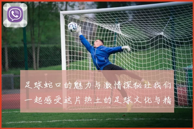 足球蛇口的魅力与激情探秘让我们一起感受这片热土的足球文化与精神
